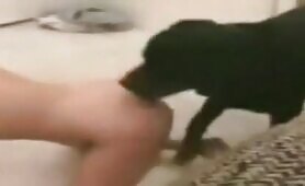 dog fucking blonde woman
