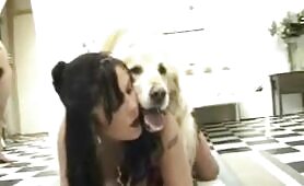 89336 two woman and a dog