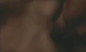 90188 dog lick hottie