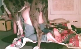 93777 banged by greatdane tube