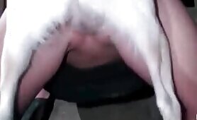 95556 pierced pussy and meaty doggy dick