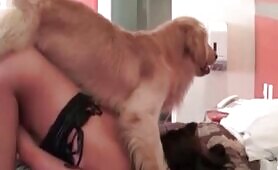 95560 small dog fucks her little vagina