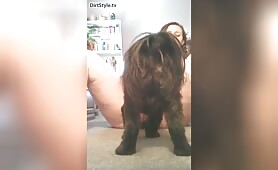 95608 dog lick girl