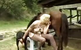 95975 dog horse and woman