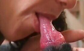 97487 excellent juicy dog suck