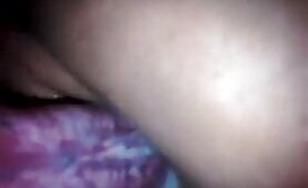 97778 close up dog sex