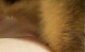 37414 dogy dong