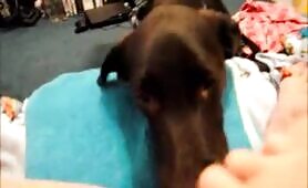 49052 licking time 6