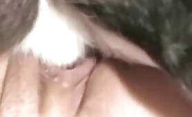 49148 playing with dog