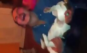 49850 girl sucking dog