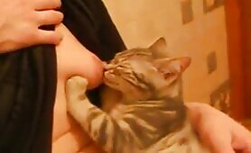 53865 my girlfriend breastfeeding cat