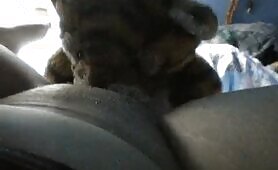 54443 tiger and me