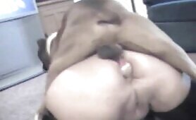 54850 dog fuck woman anal