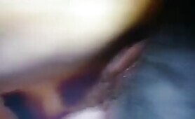 56071 doggy