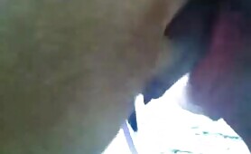 56155 daughter trys for dog cum