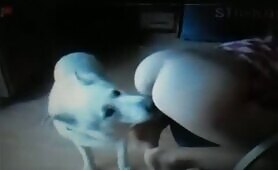 58735 licking her ass