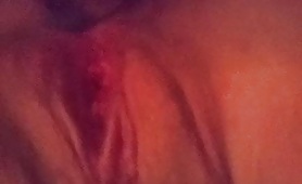 59231 ginger licks it all