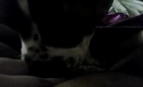 61880 bbw pussy lick