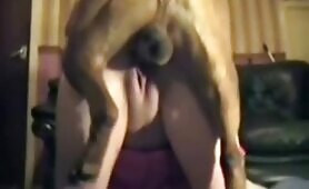 64226 brown dog gives babe warm creampie