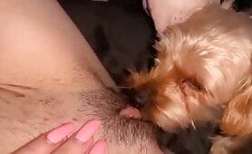 Lex's sins EXCLUSIVE
