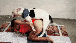 Latin rape
