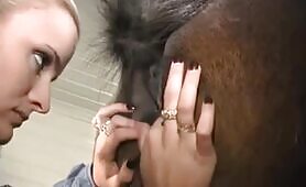 Horse cunt