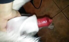 Batendo punheta pro cachorro