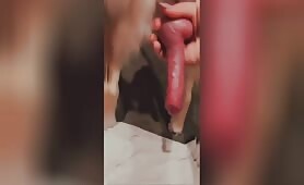 Caninecountess Showing the Red Rocket