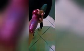Dick pit bull