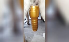 German Shepherd cums into fleshlight 1