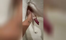 Unsheathing the GIANT dog cock!