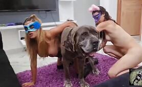 Lesbo game with dog