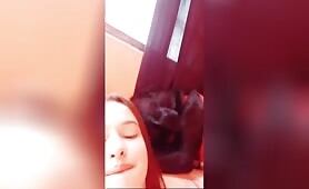 Red alert! Action dog