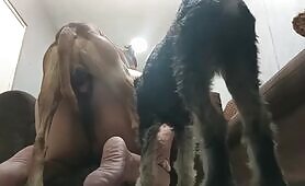 Amaters on Knot