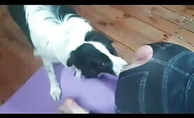 Experimental BDSM with dog