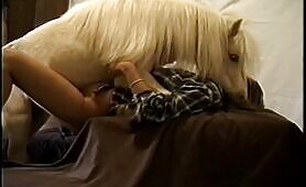 Pony on fire