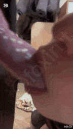 Sexy Shura - Dóberman blowjob