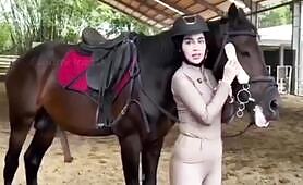 Horse Fun