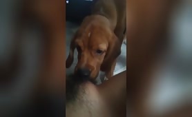 Licky cunty