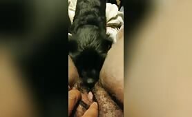 Pupy and pussy