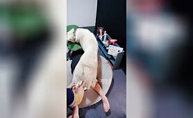 Amateur Tusizi - Chinese dog artist 26