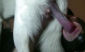 condom2 - MWM & ZOO TRINITY PRODUCTIONS