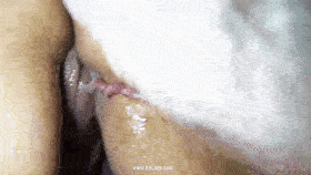 Final Touch Selena - K9Lady - EXCLUSIVE