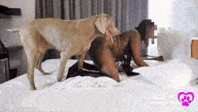 TRISHA - My Aunt did it - ALZ PRODUCTION - VERY GOOD