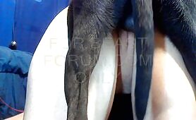 KNOT WRANGLER AND DALLAS