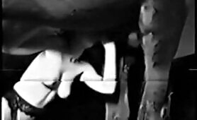 Zoo Retro - Gold Classics