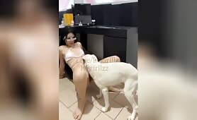 MoonlieK9 - Collection 1