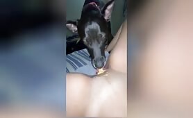 Reactions - peanut butter 2