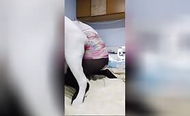 Chrysanthemum morifolium - 秋菊 - Amateur - Chapter 29