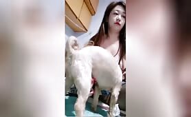 Chrysanthemum morifolium - 秋菊 - Amateur - Mix - Chapter 2